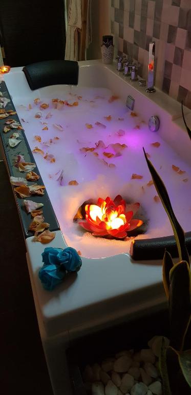 El nido de la Galería - 6