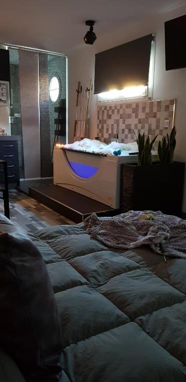 El nido de la Galería - 3