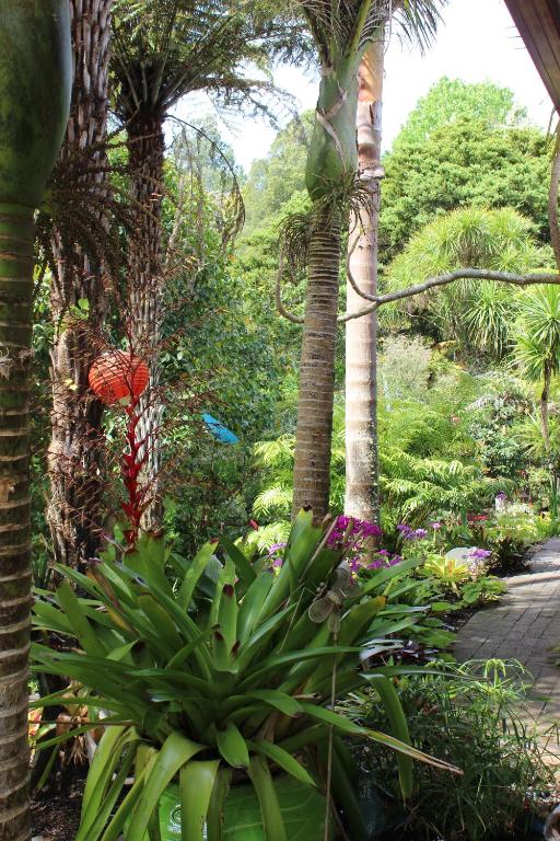 Waimoana Garden Accommodation - Resim 9