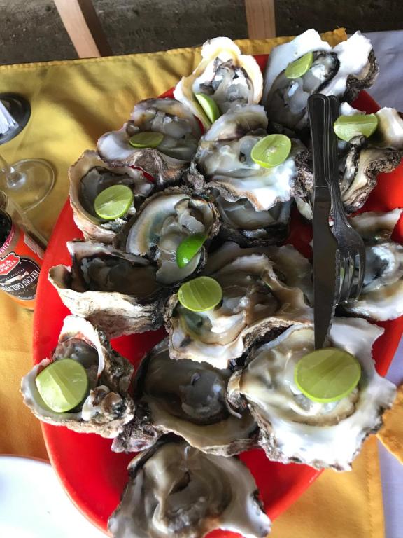 a red plate of oysters with a fork on top at Colibri Hotel in Cabo Corrientes