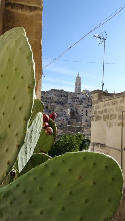 Fotografie z fotogalerie ubytování StageROOM01 - Matera v destinaci Matera
