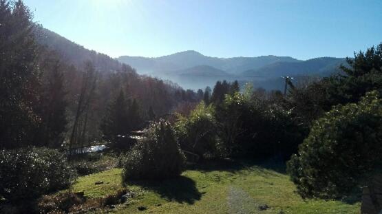 LA PARENTHESE – photo 32