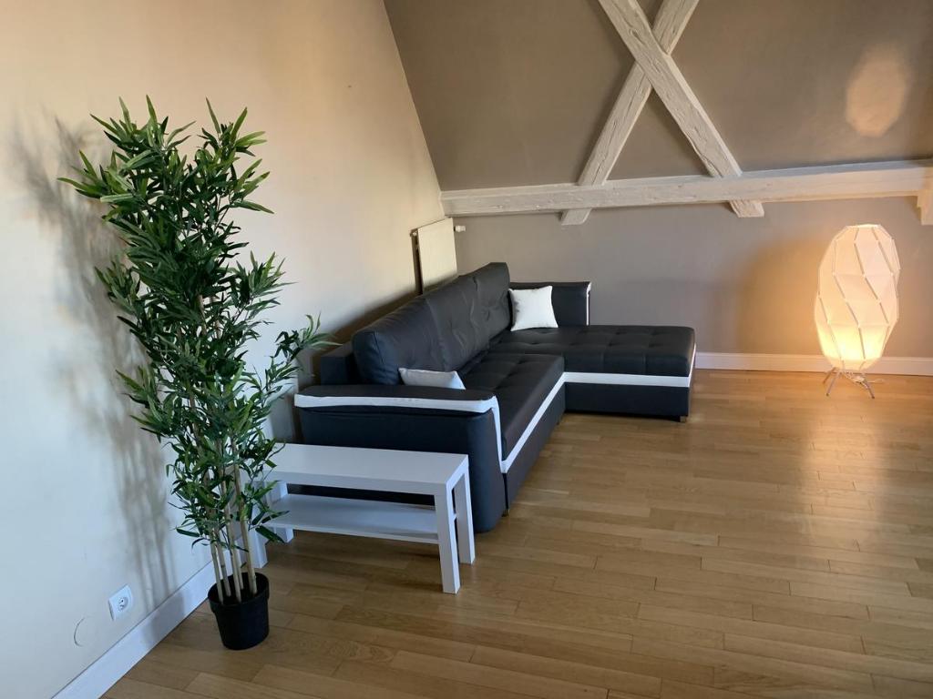 Historical town center spacious flat – photo 12