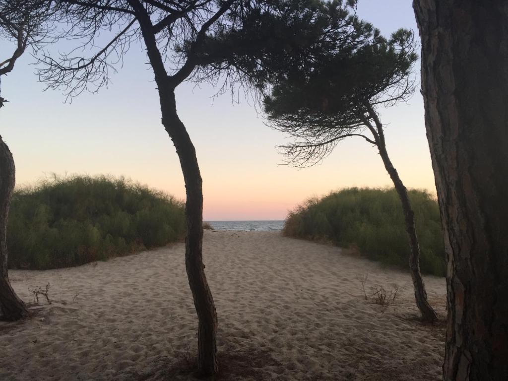Islantilla Golf, Lepe – Updated 2023 Prices