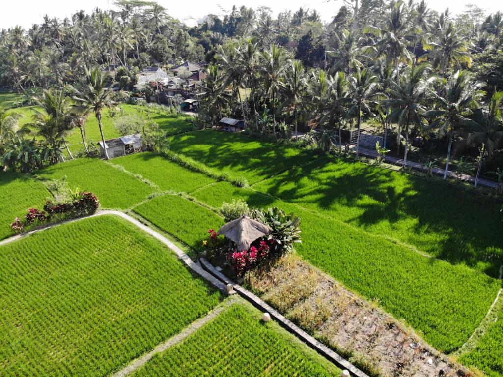 Un jardín fuera de MATHIS Retreat Ubud