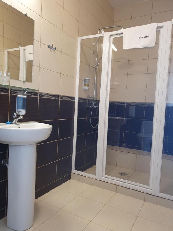 Koupelna v ubytování Svetainė