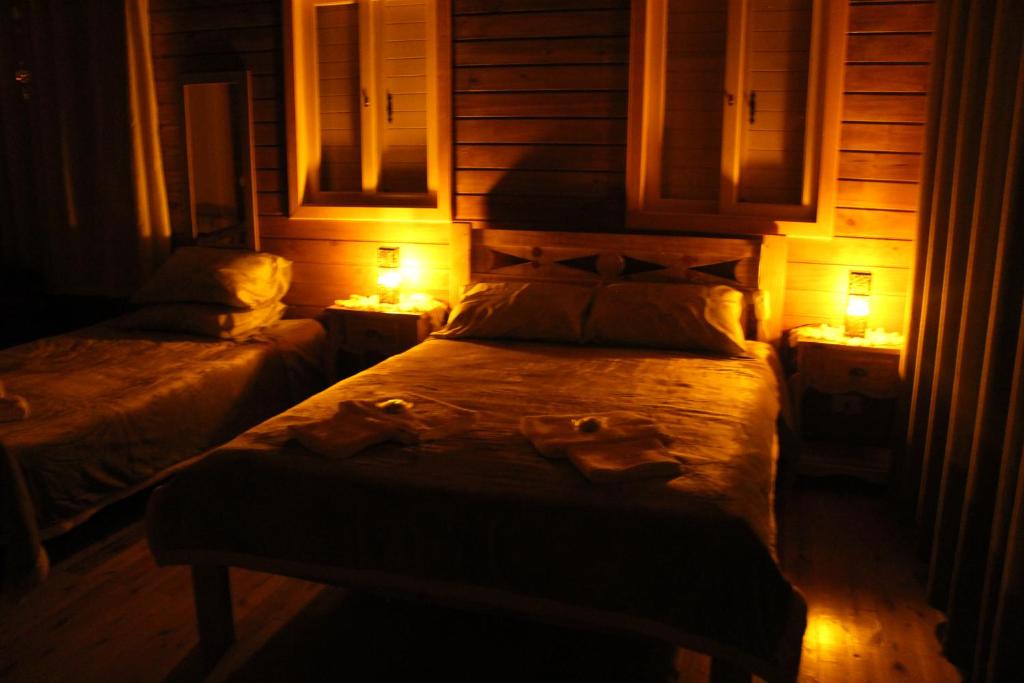  Cabana Leão Baio