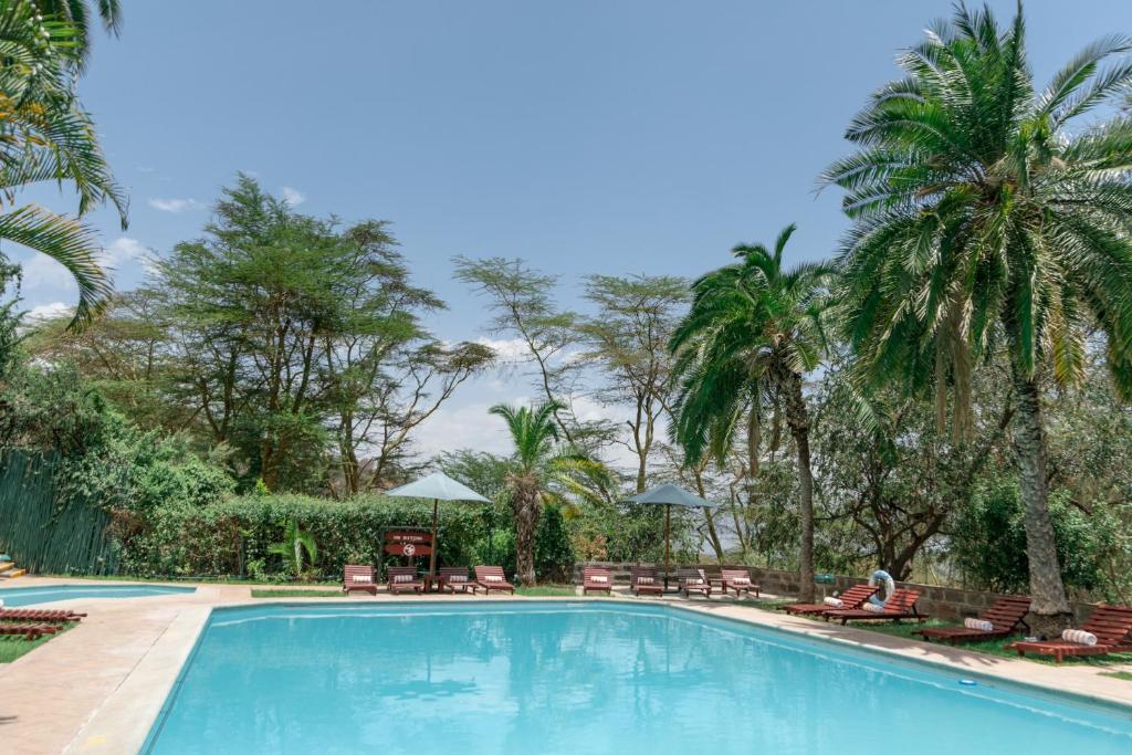 - une piscine bordée de chaises et de palmiers dans l'établissement Sarova Lion Hill Game Lodge, à Nakuru