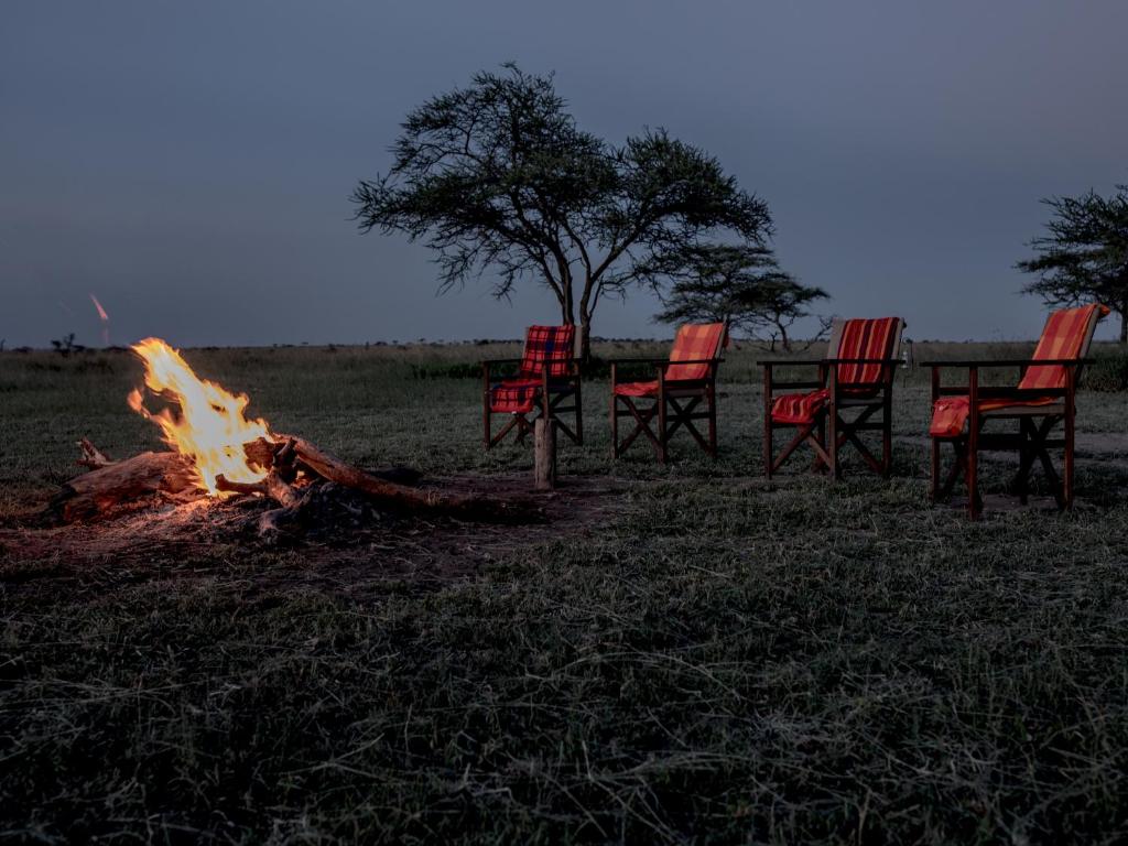 Fotografie z fotogalerie ubytování Gnu Ndutu Camp v destinaci Sinoni