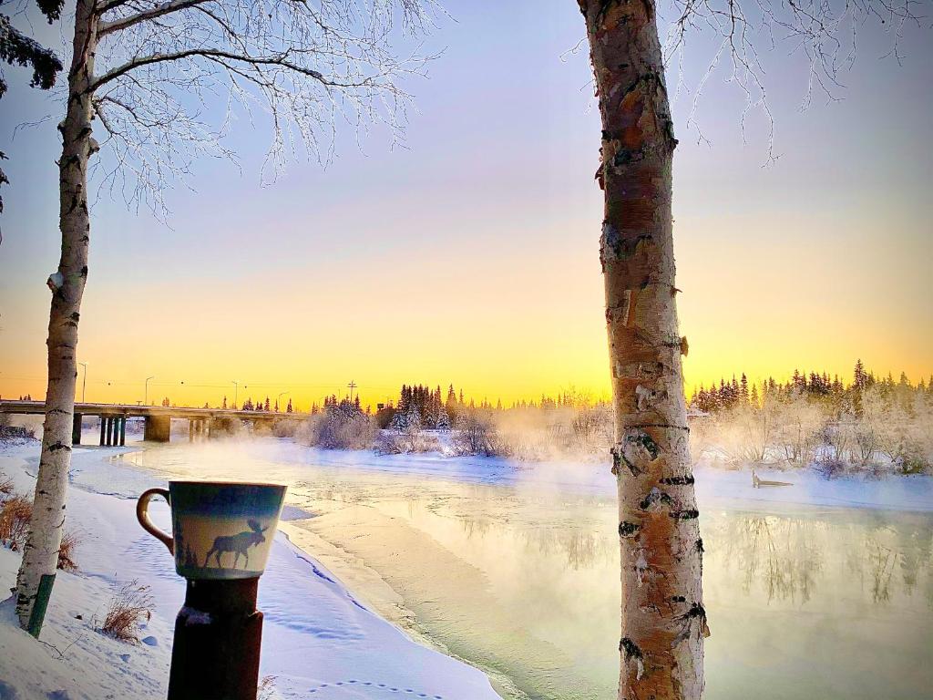 a cup on a pole next to a tree in the snow at #2 LUX STAY - Views - Water Front-Location/Aurora in Fairbanks