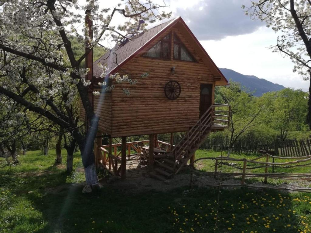 Afbeelding uit fotogalerij van Casuta din Poiana in Poiana