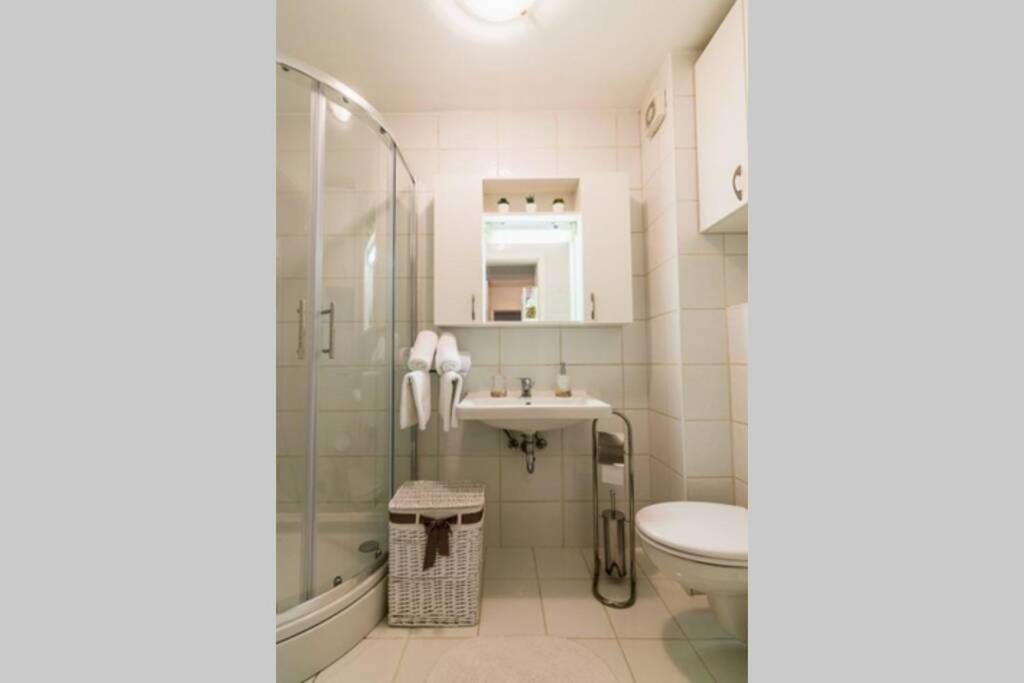 W łazience znajduje się prysznic, umywalka i toaleta. w obiekcie Apartment Jarun Brac w Zagrzebiu