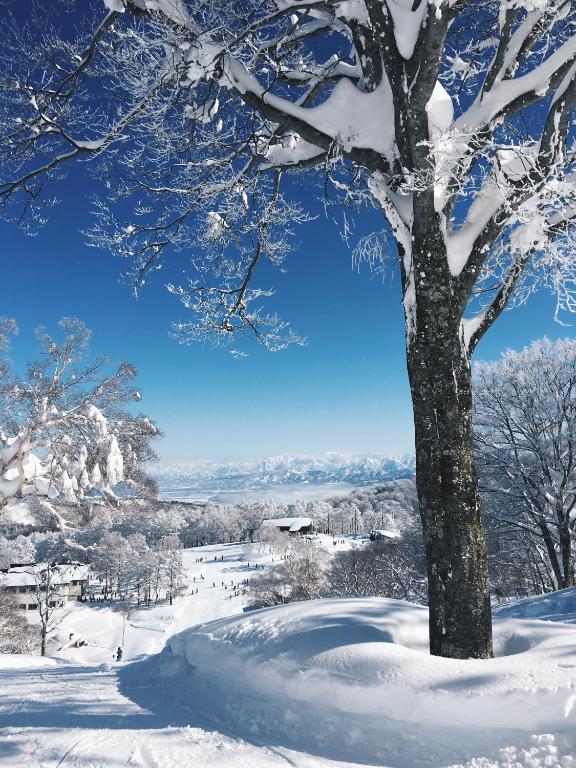 Nozawa Peaks v zimě