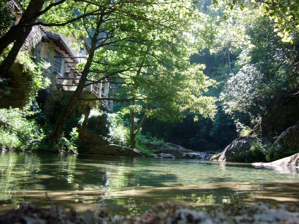 un río en medio de un bosque con árboles en Casa Dolce Vita, en Pigna