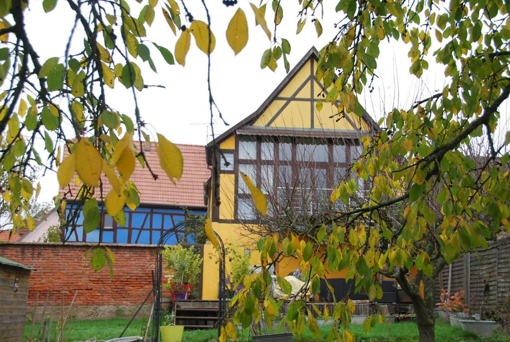 a yellow and blue building with a tree at maisonbleue67 in Kurtzenhouse