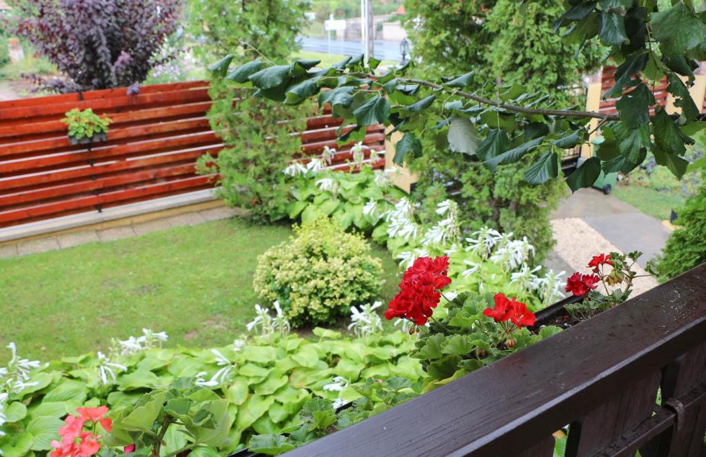 un giardino con fiori rossi e una panca di legno di Emi Vendégház a Balatonszemes