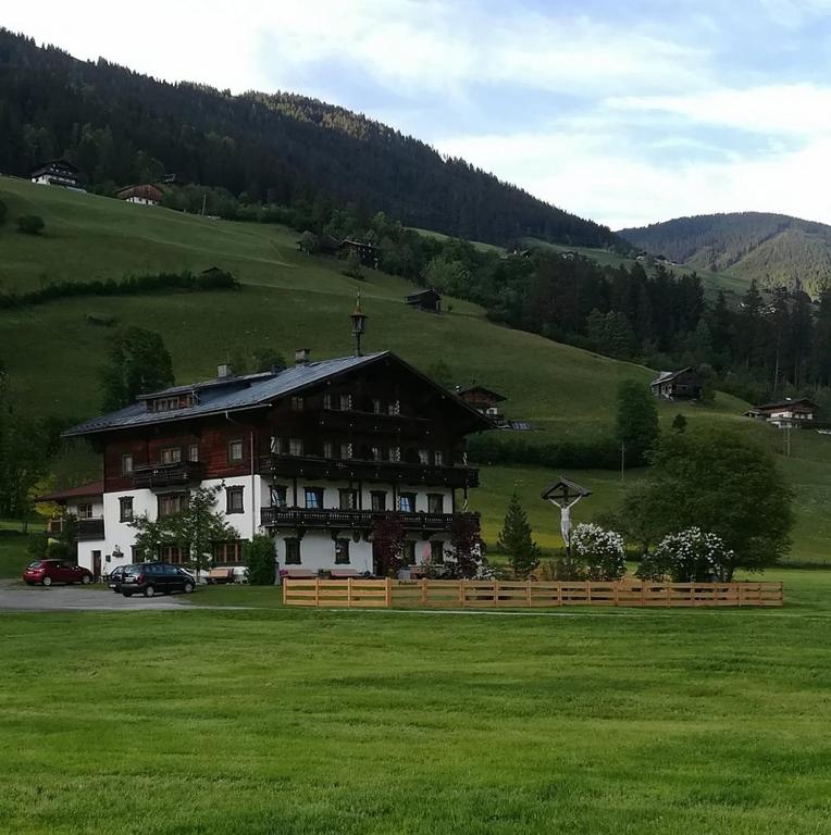 Příroda nedaleko bed and breakfast