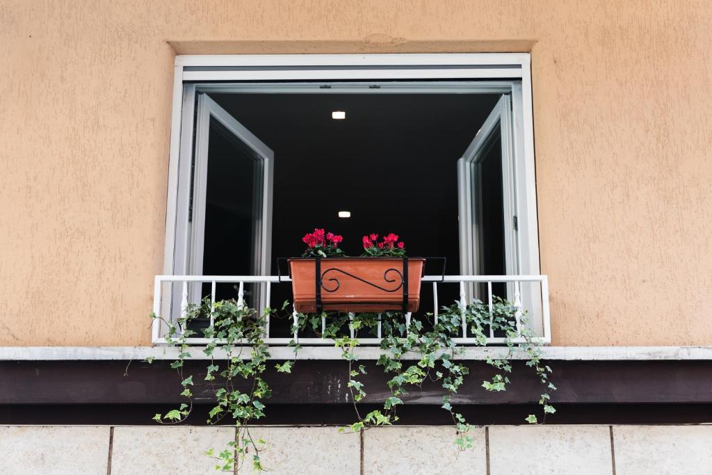 Ziani Vatican Boutique photo