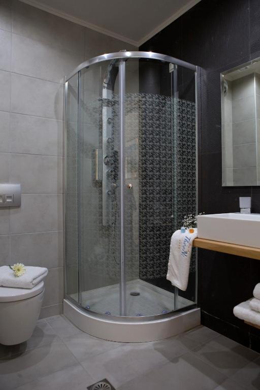 a bathroom with a shower and a toilet and a sink at Grand TheoNi Boutique Hotel & Spa in Vasiliki
