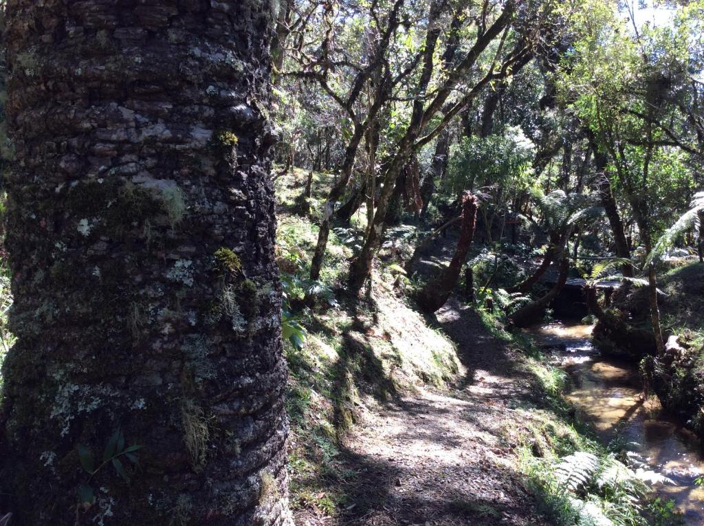  Chales Do Ferradura