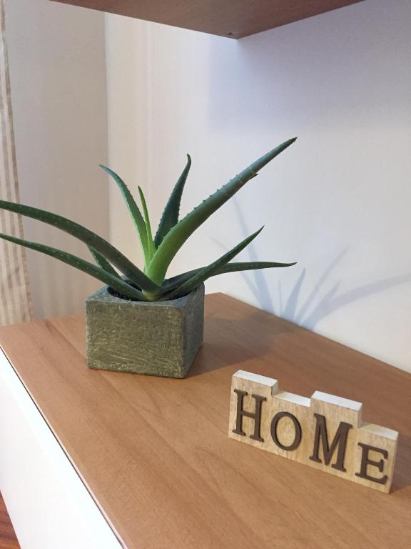 Il giardino nascosto - 2