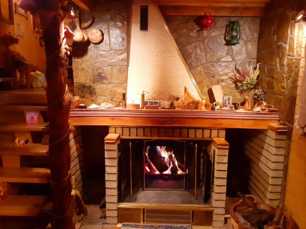 Fotografie z fotogalerie ubytování VILA PAVLOVIC v destinaci Kopaonik
