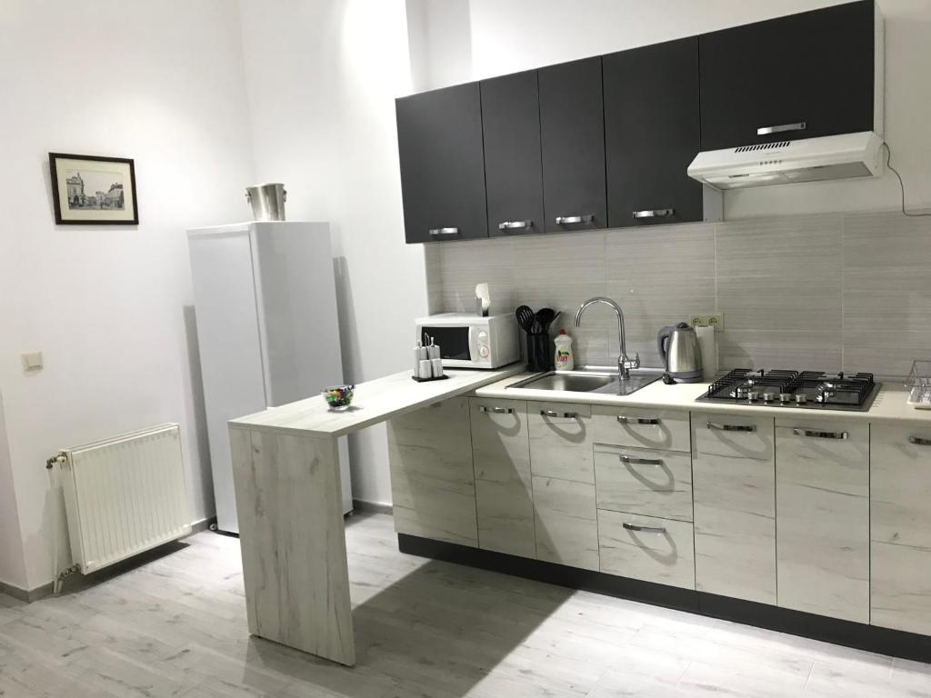 
Кухня или мини-кухня в Apartment suite Mukachevo

