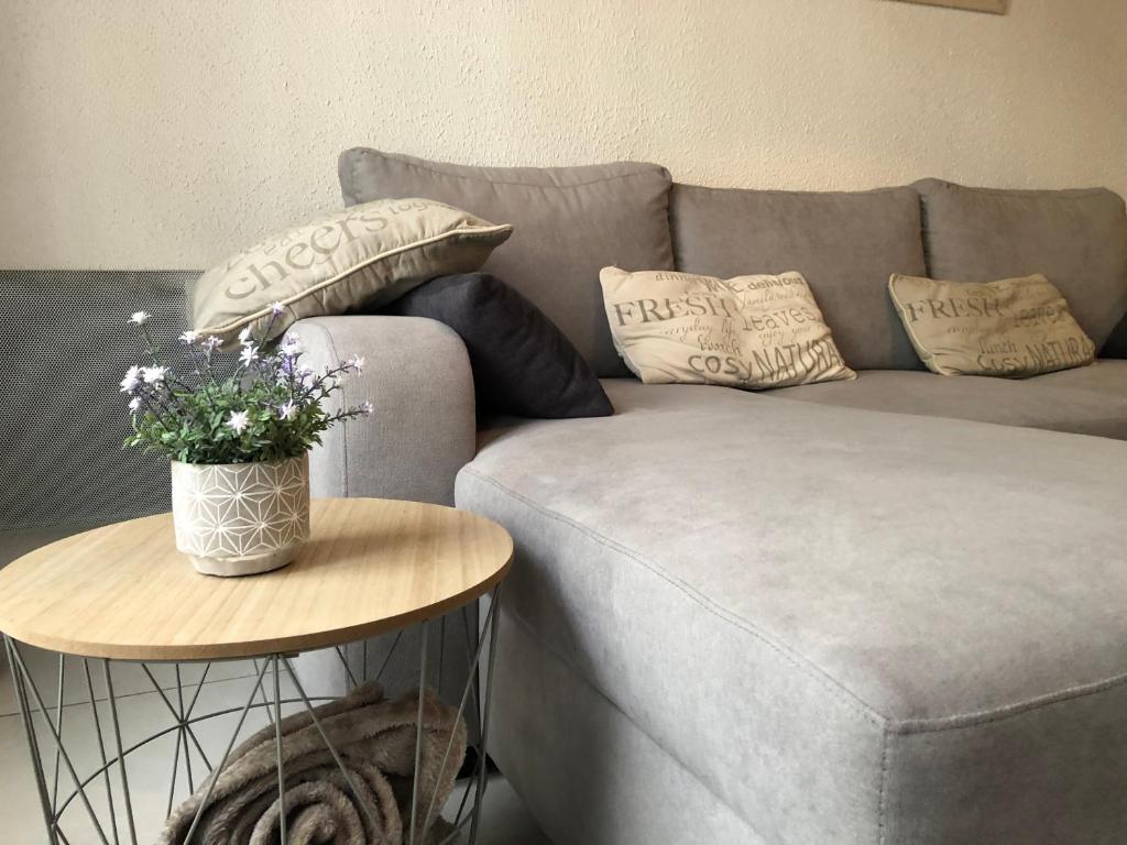 un divano grigio con cuscini e un tavolo con fiori di Le Charmant Zola a Troyes