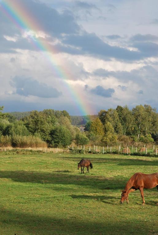 Fotografia z galérie ubytovania Agroturystyka Mętno 18 v destinácii Mętno