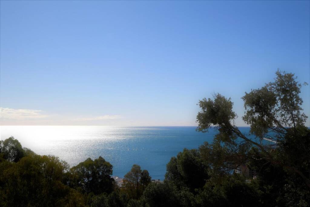 a view of the ocean from a hill with trees at Malaga-Vacation II in Málaga