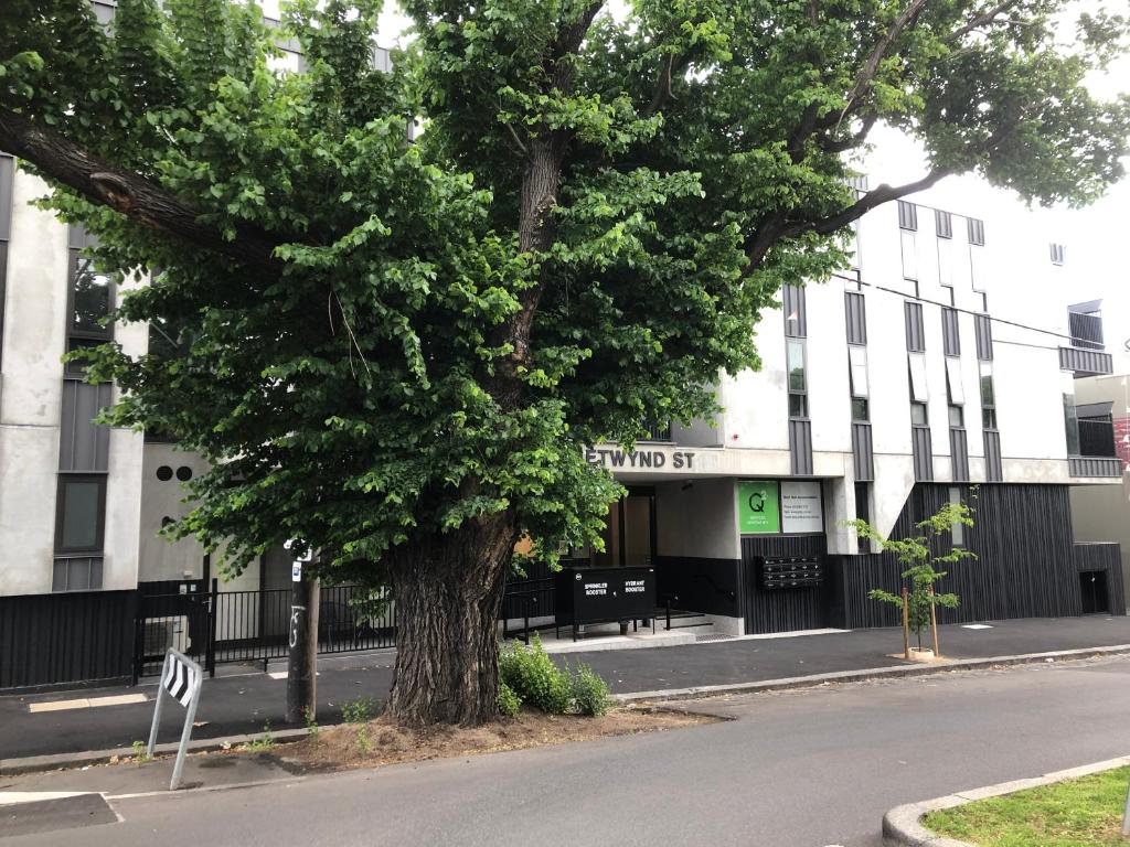 a tree on a street in front of a building at Q Squared Serviced Apartments in Melbourne