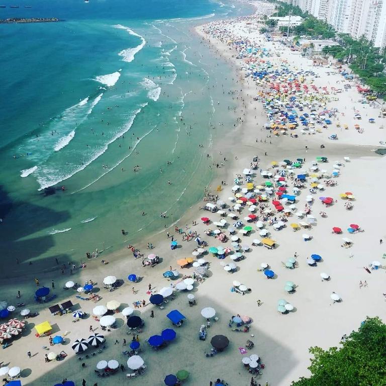 Apartamento pitangueiras
