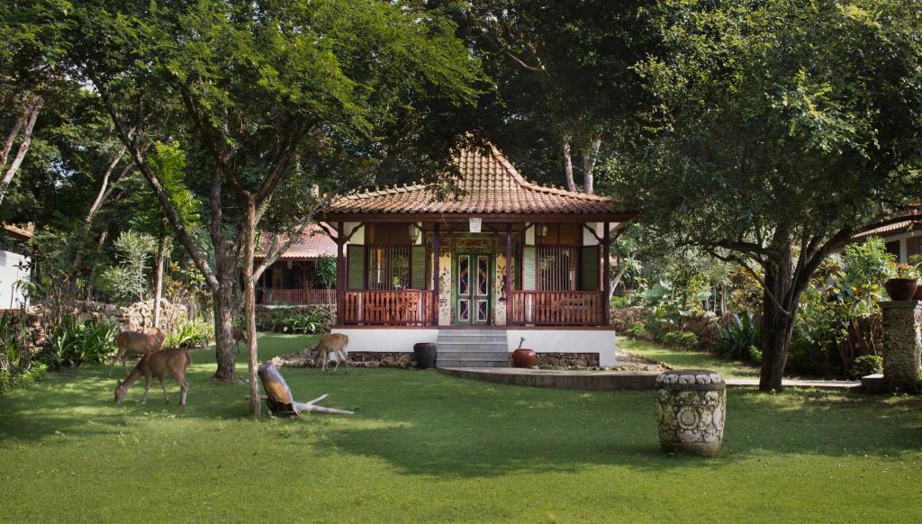 Zahrada ubytování Plataran Menjangan Resort and Spa - CHSE Certified