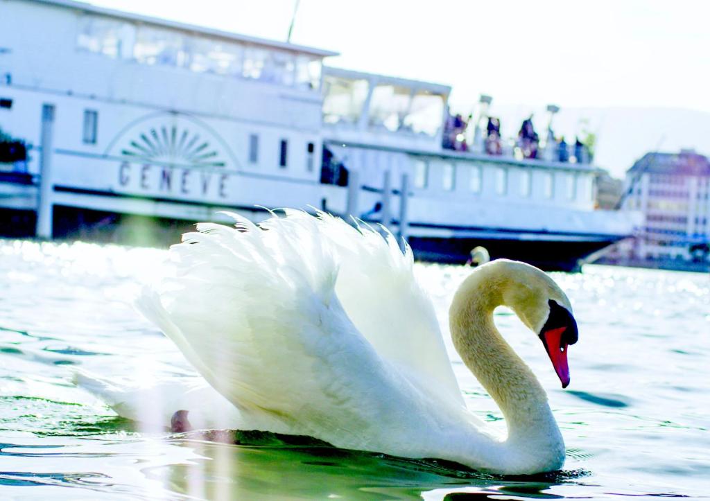 Hotel Cornavin - Resim 29