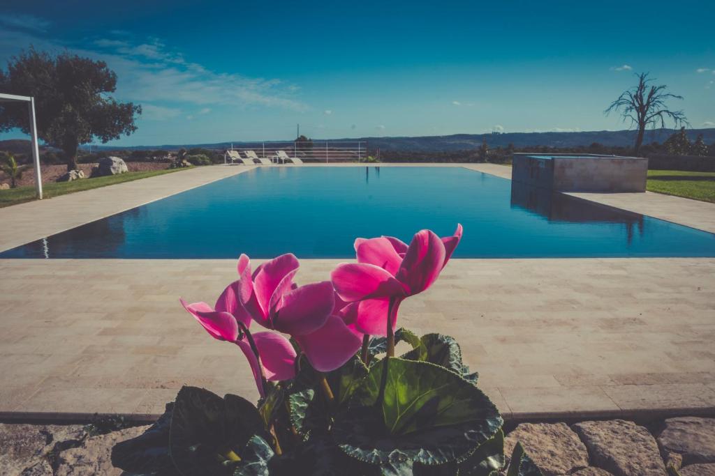 a pink flower in front of a swimming pool at La Mela Di Venere in Palazzolo Acreide
