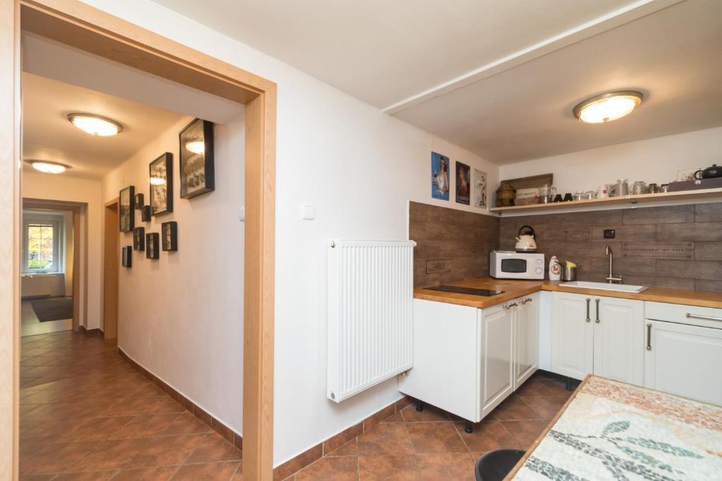 Kuchnia lub aneks kuchenny w obiekcie Budyně Apartment