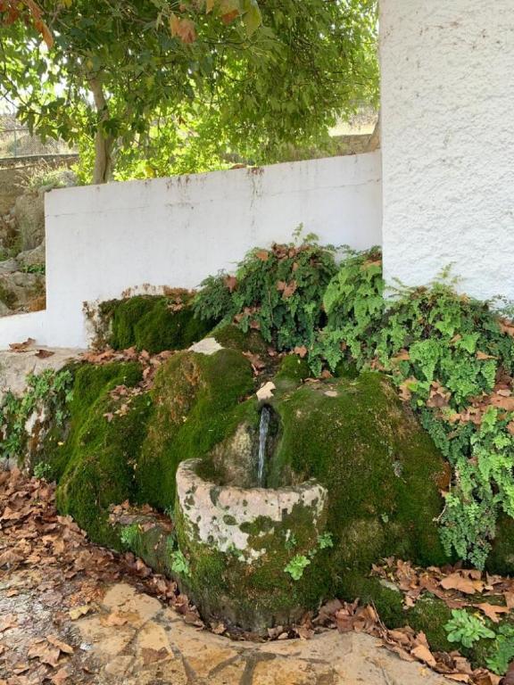 Zahrada ubytování Villa Remedios