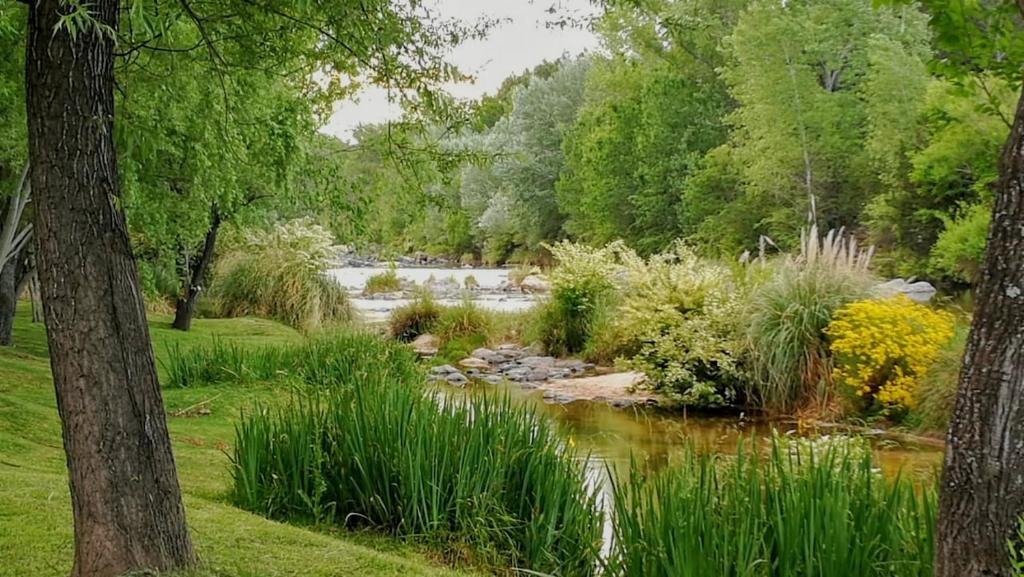 Naturlandskabet i nærheden af chaletet