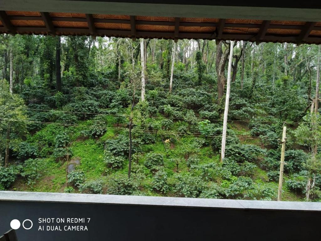 Fotografie z fotogalerie ubytování Kwality Estate v destinaci Madikeri