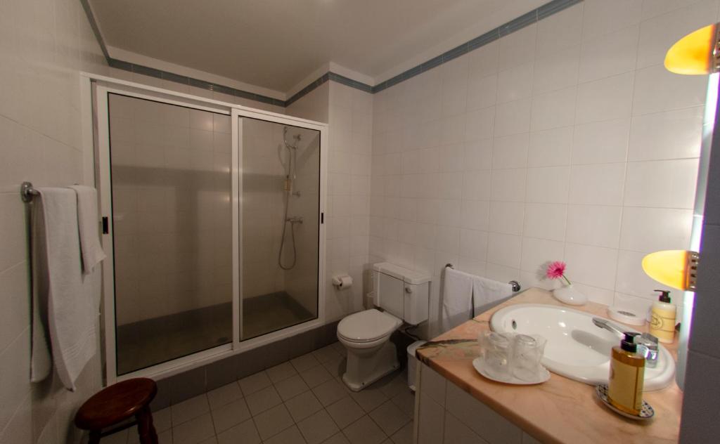 a bathroom with a shower and a sink and a toilet at Quinta das Buganvílias in Castelo Branco