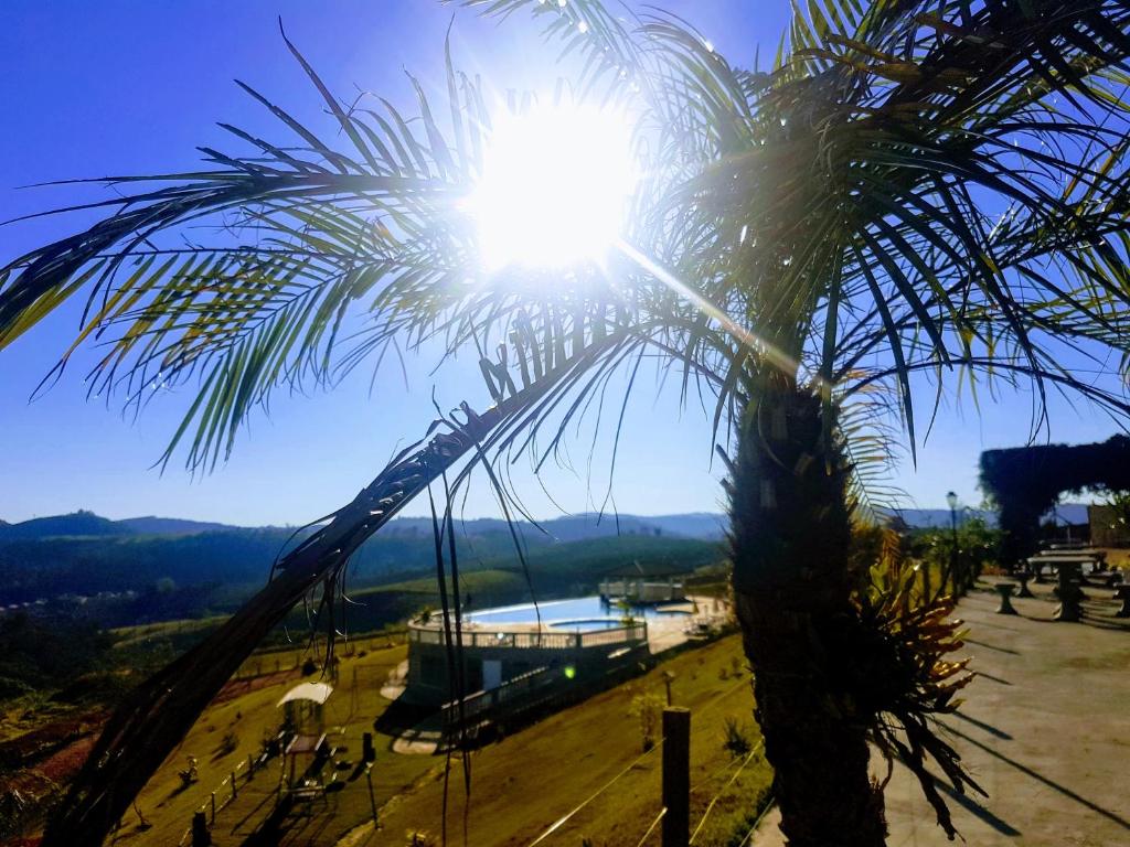 a palm tree with the sun in the sky at Molise Hotel Fazenda in Serra Negra