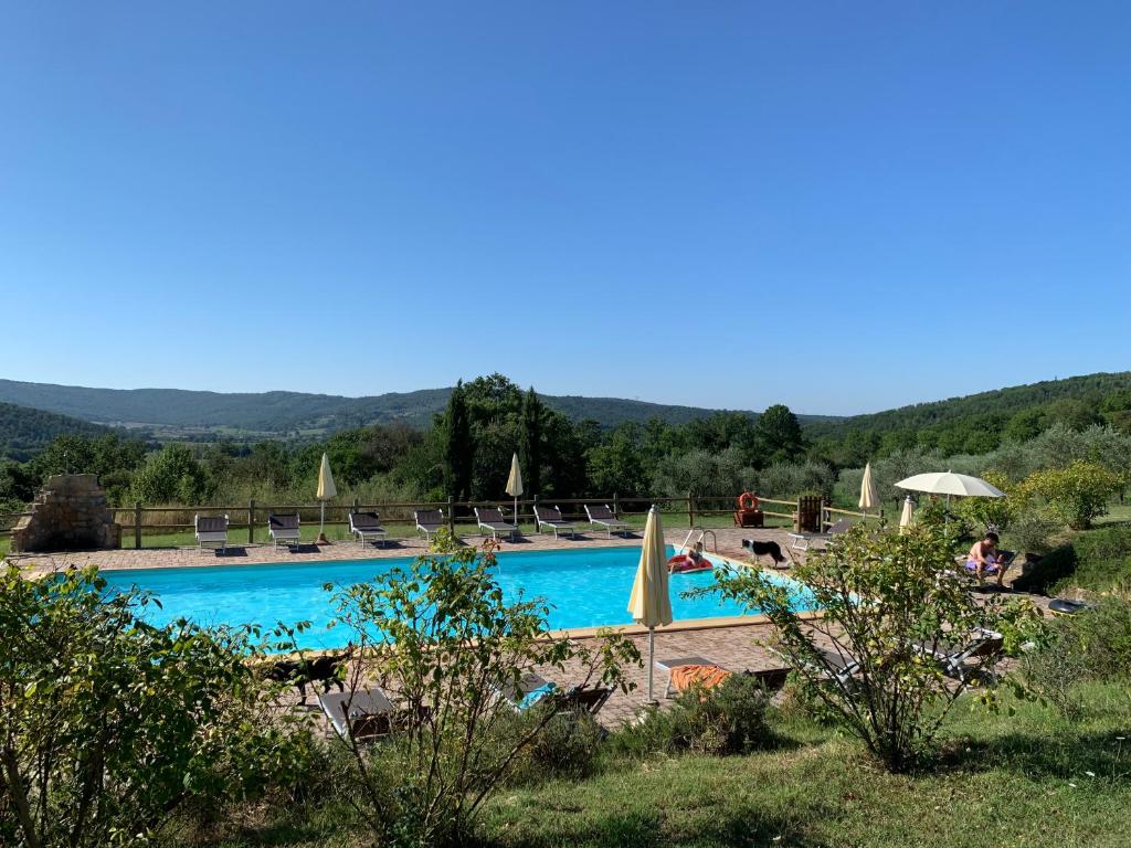 a large swimming pool with umbrellas and chairs at Podere I Massoni in Monterotondo