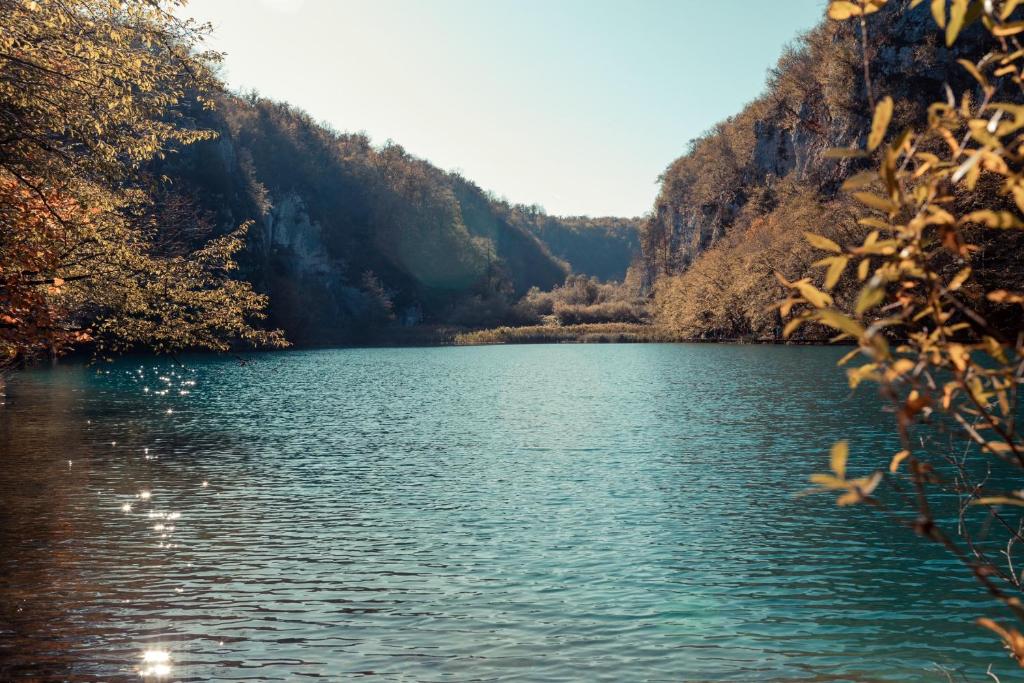 Príroda v okolí penziónu