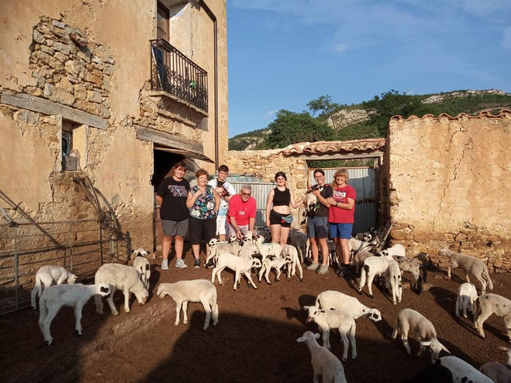 CASA RURAL AMADOR, Villarroya de los Pinares – aktualizované ...
