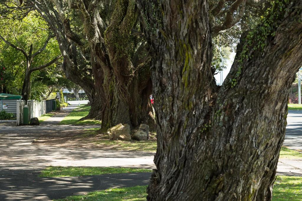 Hotel Armitage and Conference Centre - Resim 31