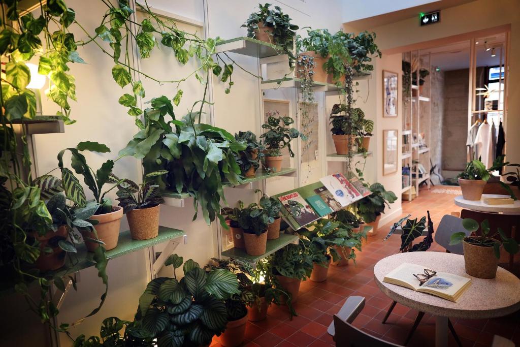 French Theory - Resim 6