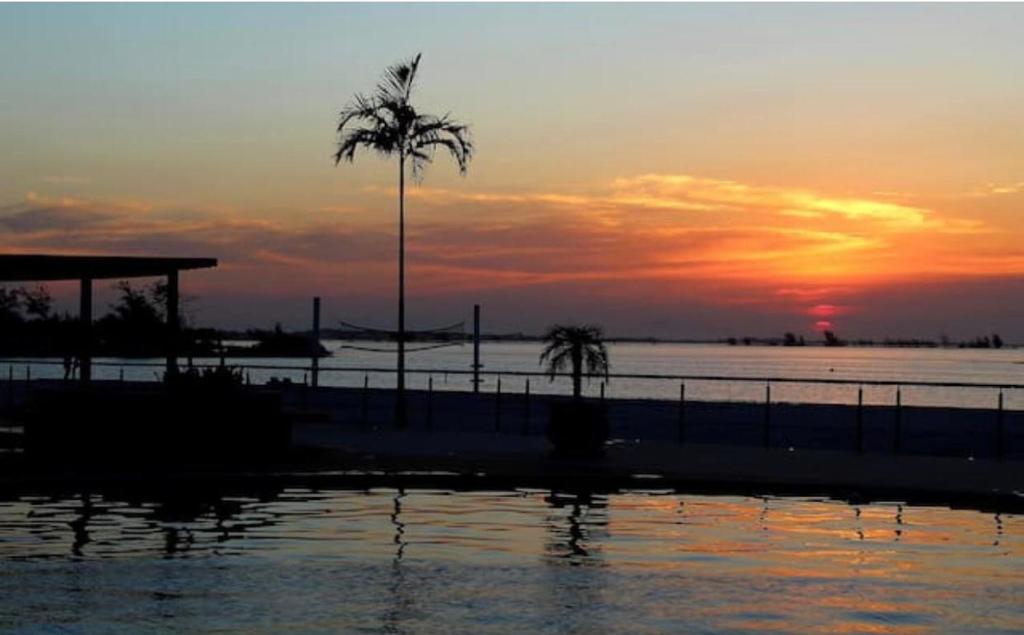  Golden Lake - Alferino