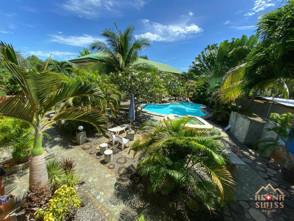 einen Luftblick auf einen Pool mit Palmen des Resorts in der Unterkunft Alona Swiss Resort in Panglao