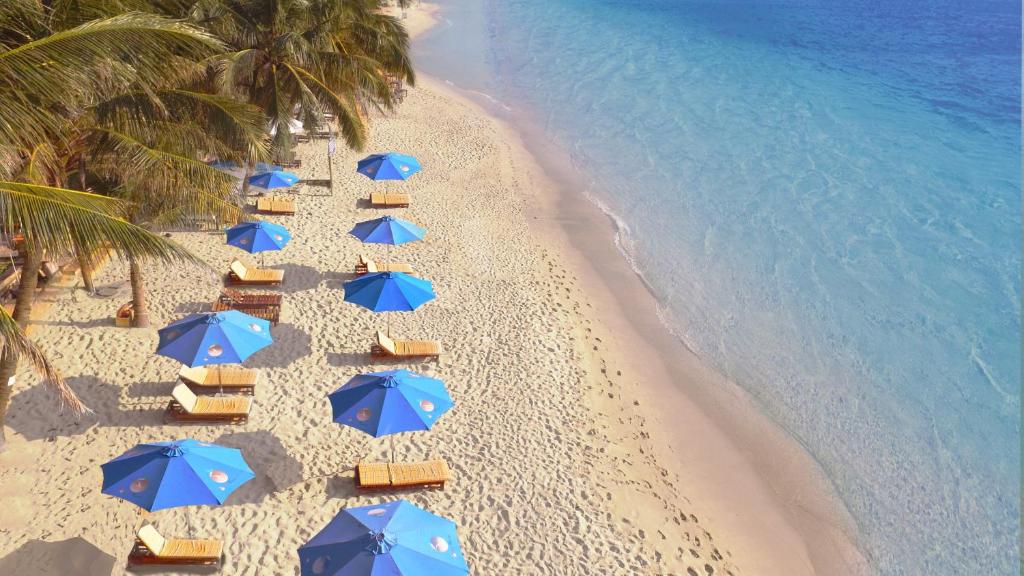 a group of blue umbrellas and chairs on a beach at Orange Resort in Phu Quoc