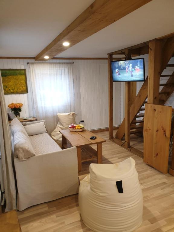 sala de estar con sofá y TV de pantalla plana en Vacation House Terraces en Sigulda